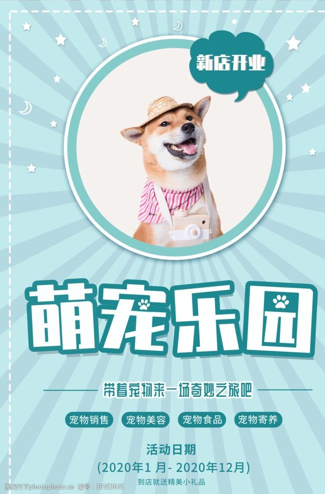 宠物店海报萌宠乐园图片