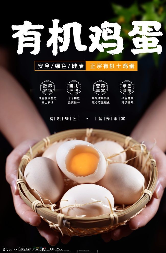 绿色鸡蛋广告鸡蛋图片