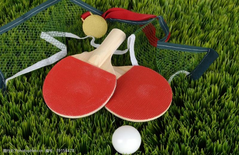 暑期运动乒乓球图片