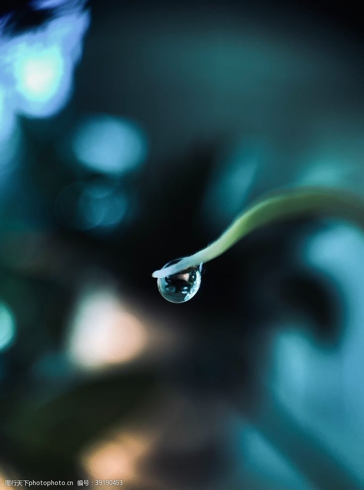 雨滴水珠水滴图片