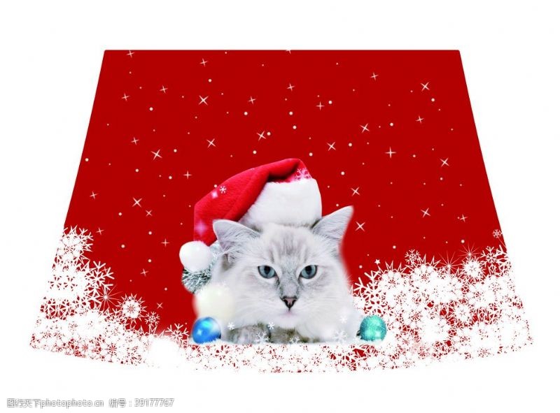 圣诞印花面料圣诞猫图片