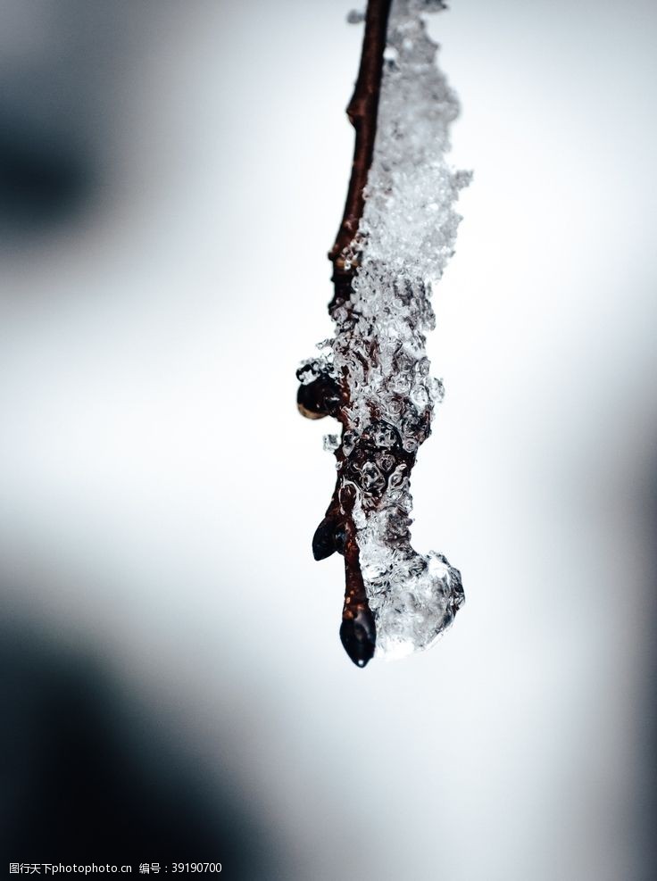 雨滴水珠水滴图片