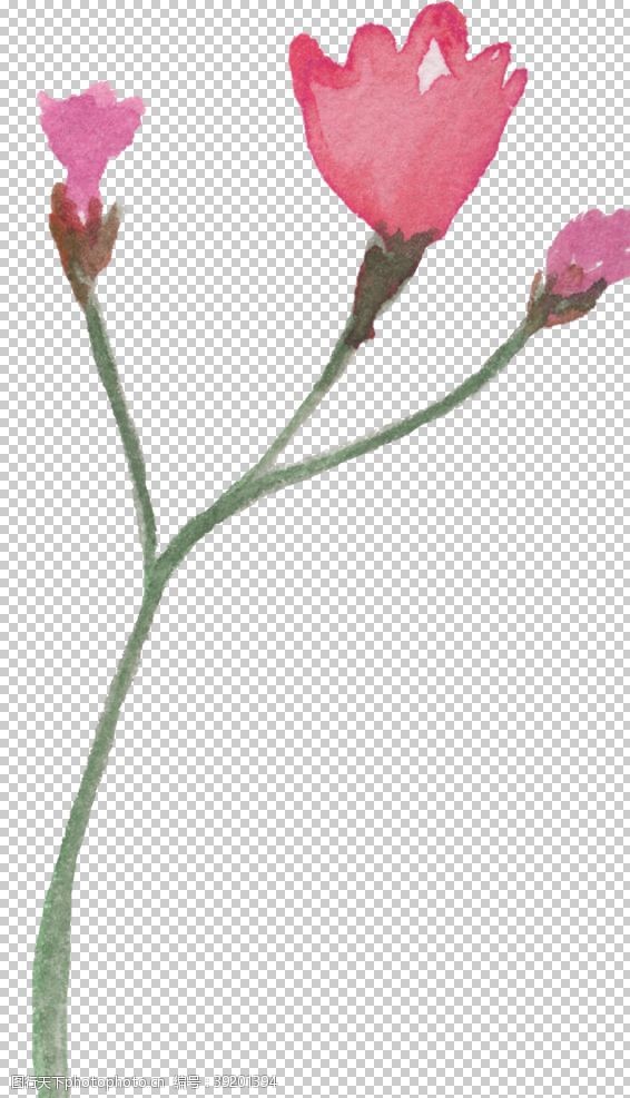 印刷术粉红手绘花朵设计花型图片