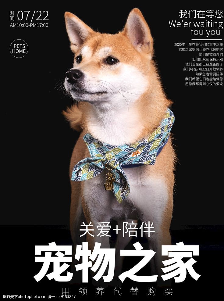 宠物海报关爱宠物社会公益宣传海报素材图片