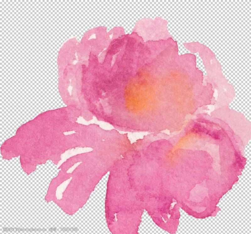 psd印刷单页芍药牡丹粉红玫红花朵图片
