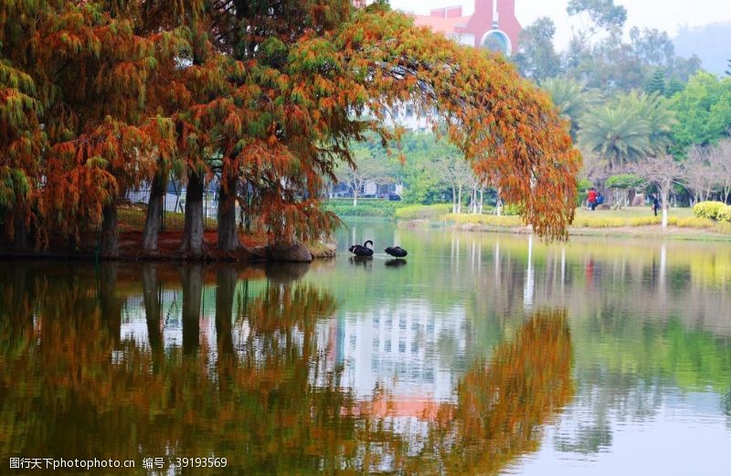 沙坡厦门大学图片