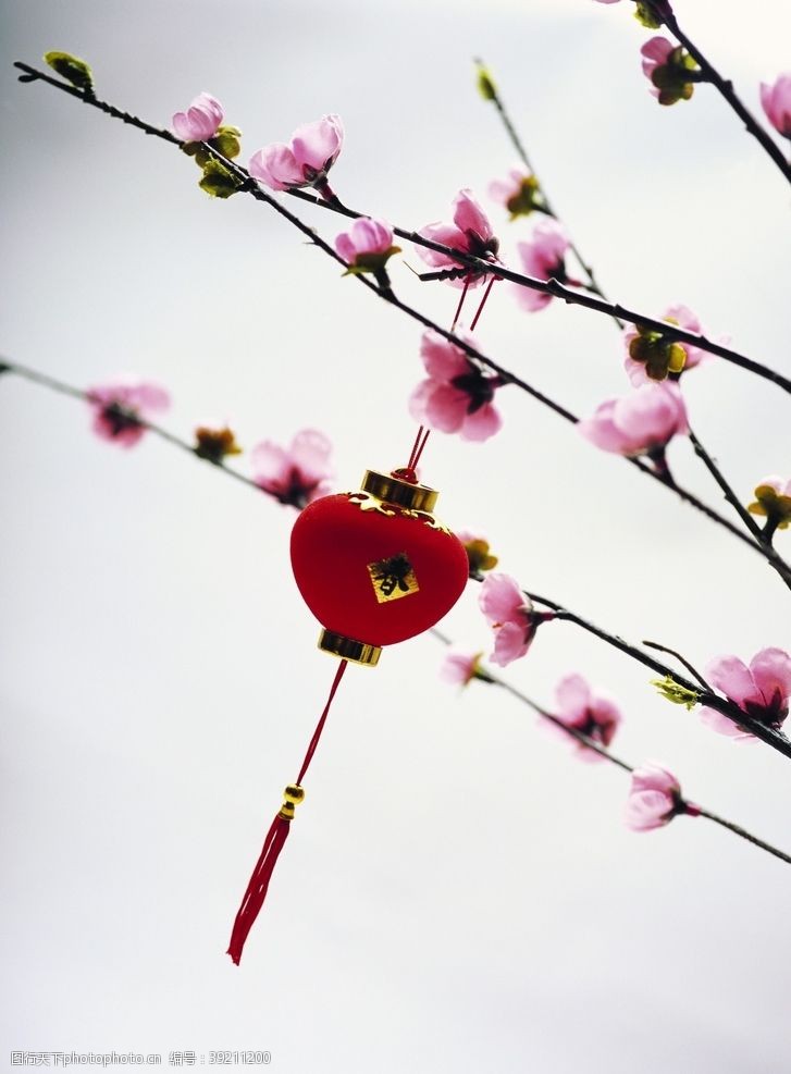 古典风格新年元素新年节日气息图片