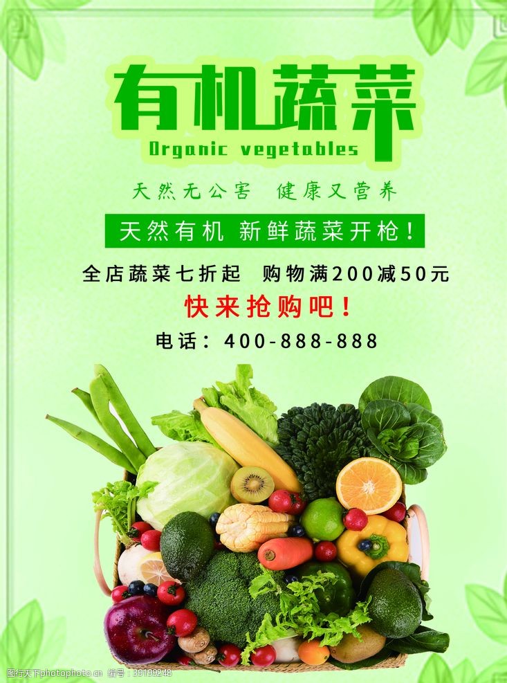 緑色果蔬有机蔬菜图片