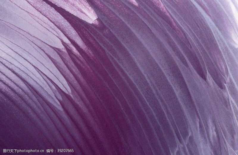 紫色油画紫色水彩油画背景图片