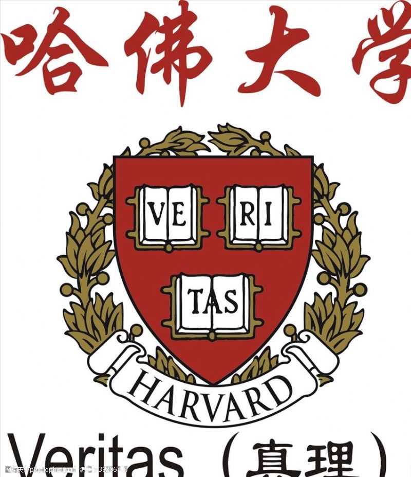 harvard哈佛大学图片