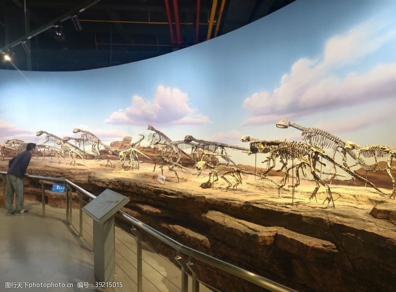 白垩纪恐龙化石古生物样本骨骼化石图片