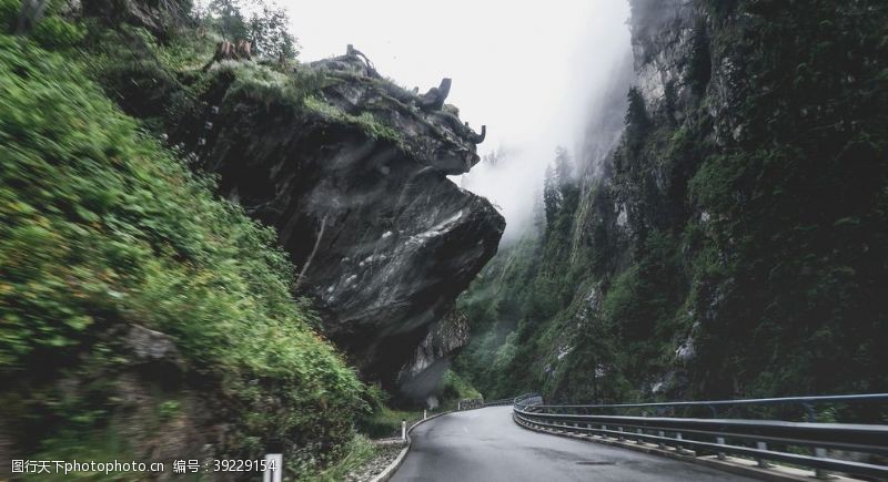 林荫小路路图片