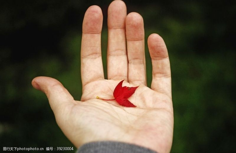 情人节活动手手势图片