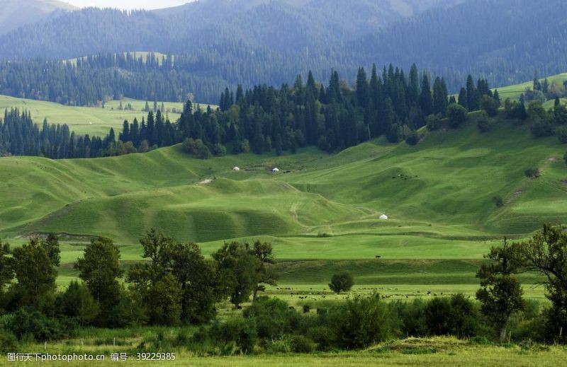 新疆那拉提草原美景图片