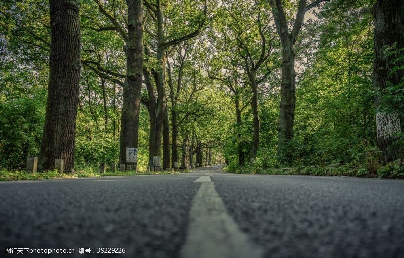 路径公路图片