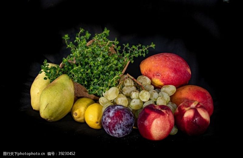 秋季素材水果柑橘图片