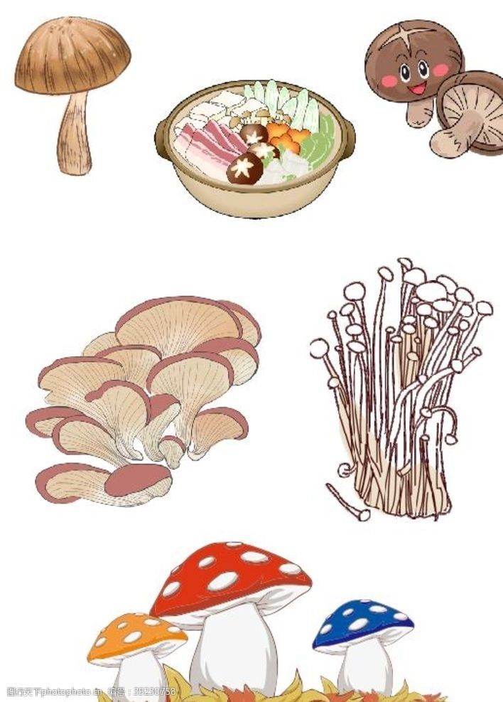 矢量香菇香菇图片