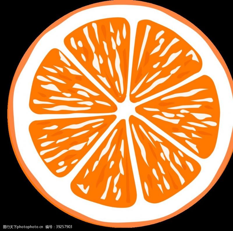 橙子切片素材橙子图片