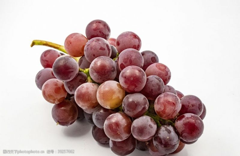葡萄栽培葡萄图片