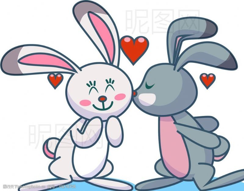 爱情鸟情侣兔子图片