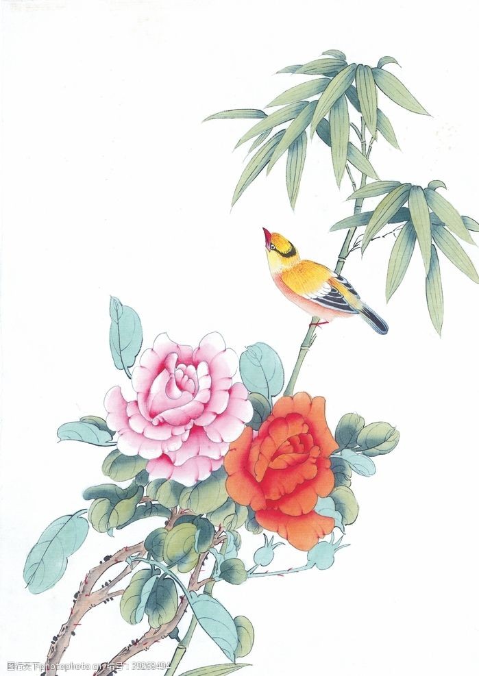 花卉海报国画花鸟图图片