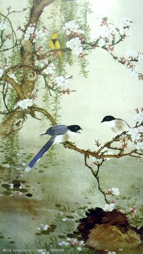 花卉海报国画花鸟图图片
