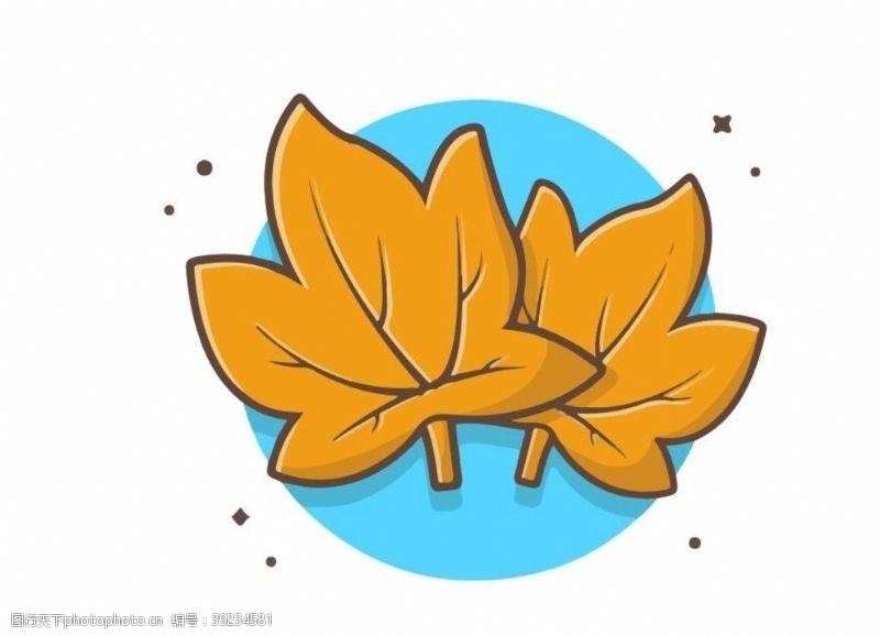 常用植物卡通枫叶图片