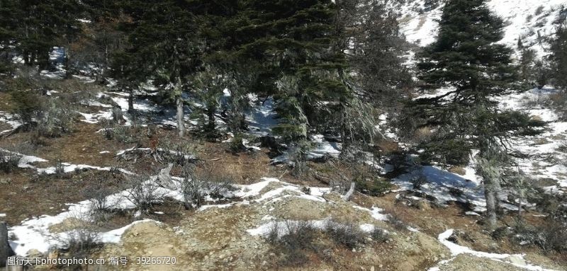 马拉松山野雪地风光图片