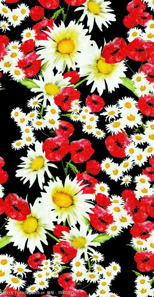 罂粟花手绘花背景图片