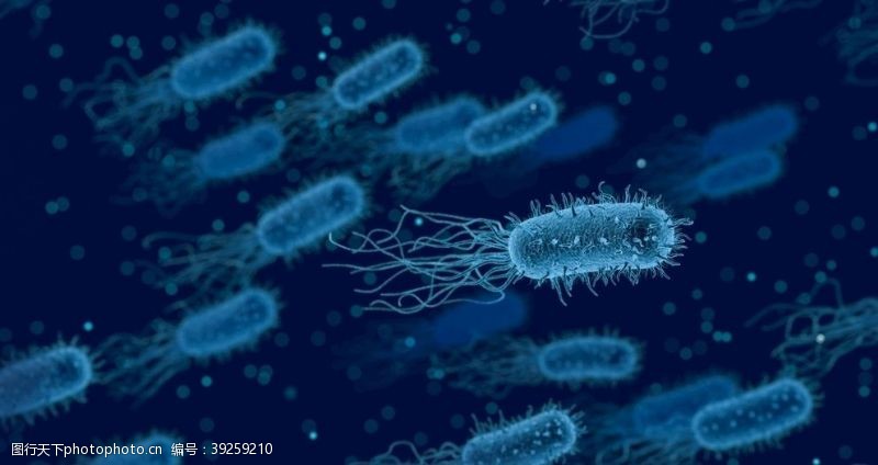 三维门头细菌图片