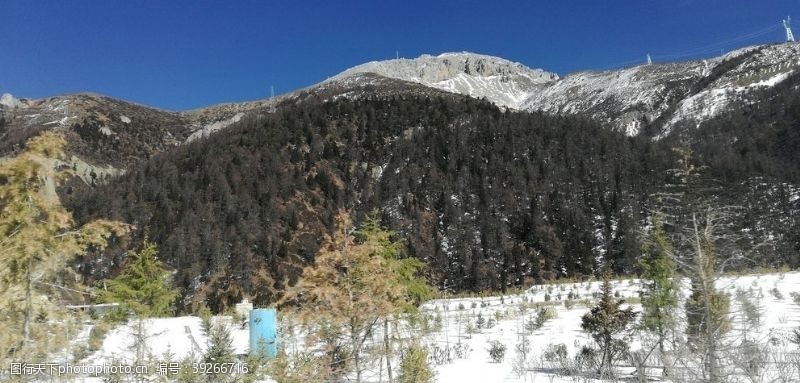 马拉松高山雪地树木风景图片