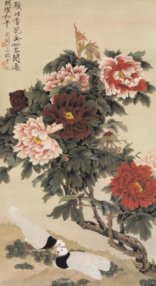 花鸟鱼虫名片国画花鸟图图片