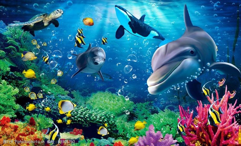 海洋世界海豚背景墙图片