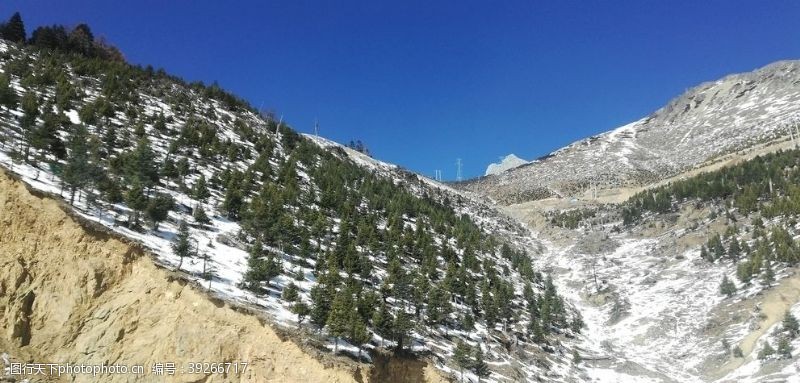 马拉松山坡雪松雪山风景图片
