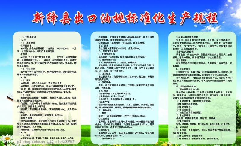 绛桃新绛县出口油桃标准化生产规程图片