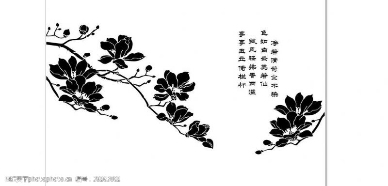 矢量玉兰花玉兰花图片