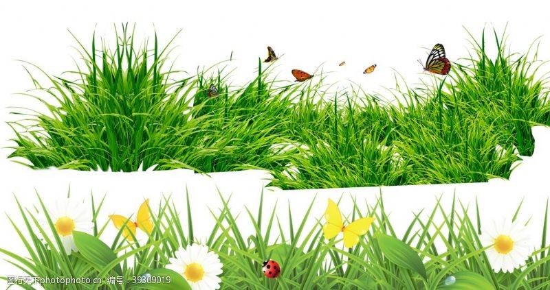 草png图片免费下载 草png素材 草png模板 图行天下素材网