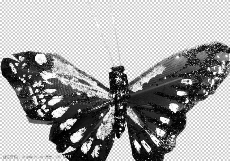 灰色蝴蝶昆虫蝴蝶图案图片