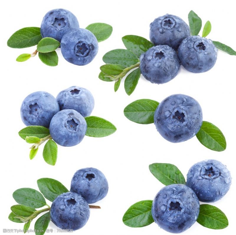 水果广告蓝莓图片