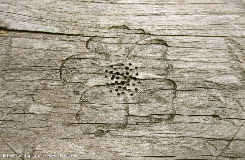 花木木纹背景图片