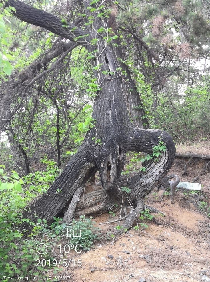 北山图片免费下载 北山素材 北山模板 图行天下素材网