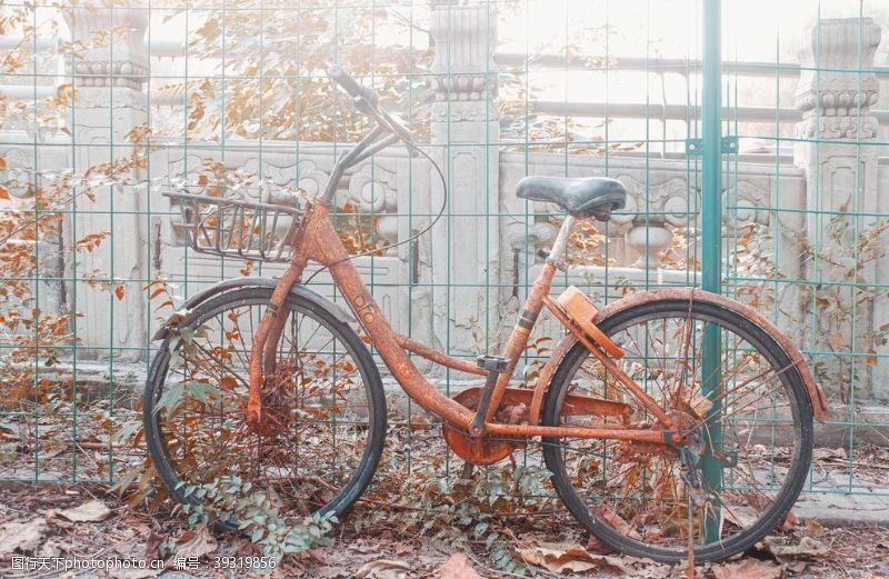 秋天的色彩废弃的共享单车ofo小黄车图片