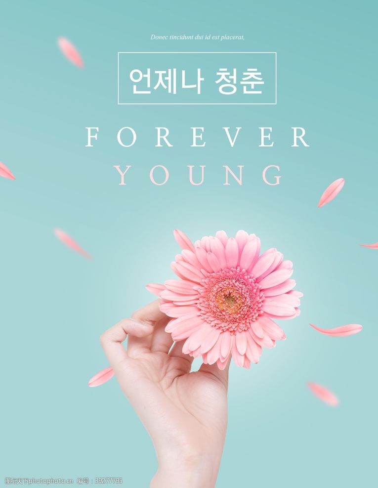 花卉海报韩版设计海报图片