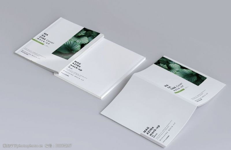 dm单排版画册设计图片