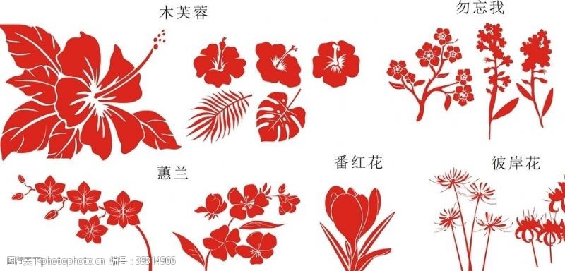 木兰花元素图片