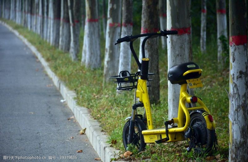 寂寞路边小黄车图片