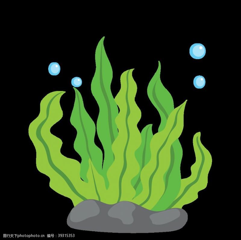 水藻素材绿色海藻图片