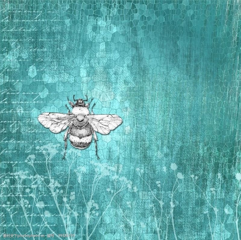 蜂蜜海报蜜蜂图片
