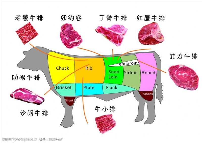 菲力牛排牛肉分部图图片