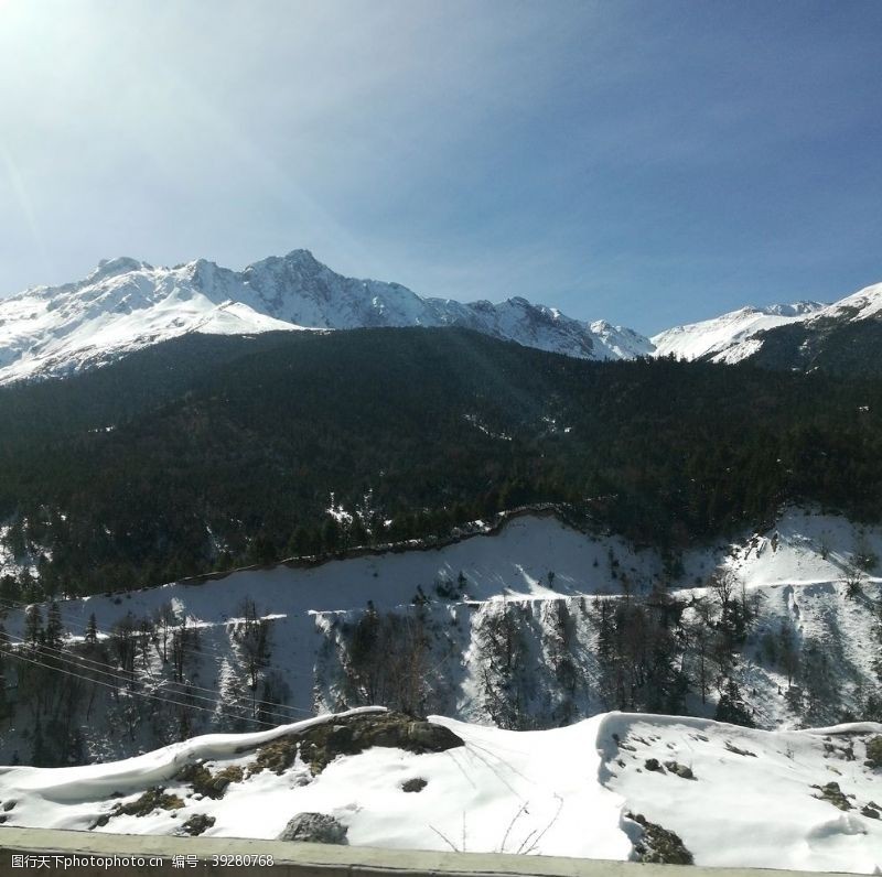 雪梅雪山雪地风景图片